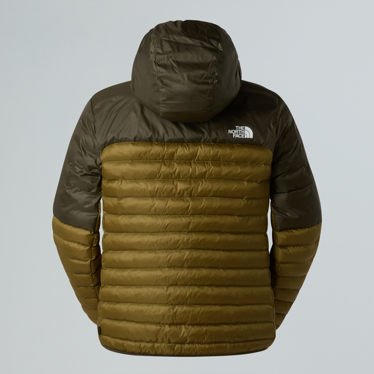 tnf_asset:NF0A88TVM8J-ALT1
