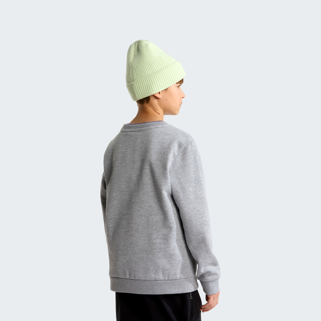 tnf_asset:NF0A8ESMCQO-ALT3
