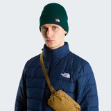 tnf_asset:NF0A8HMG1KI-ALT1