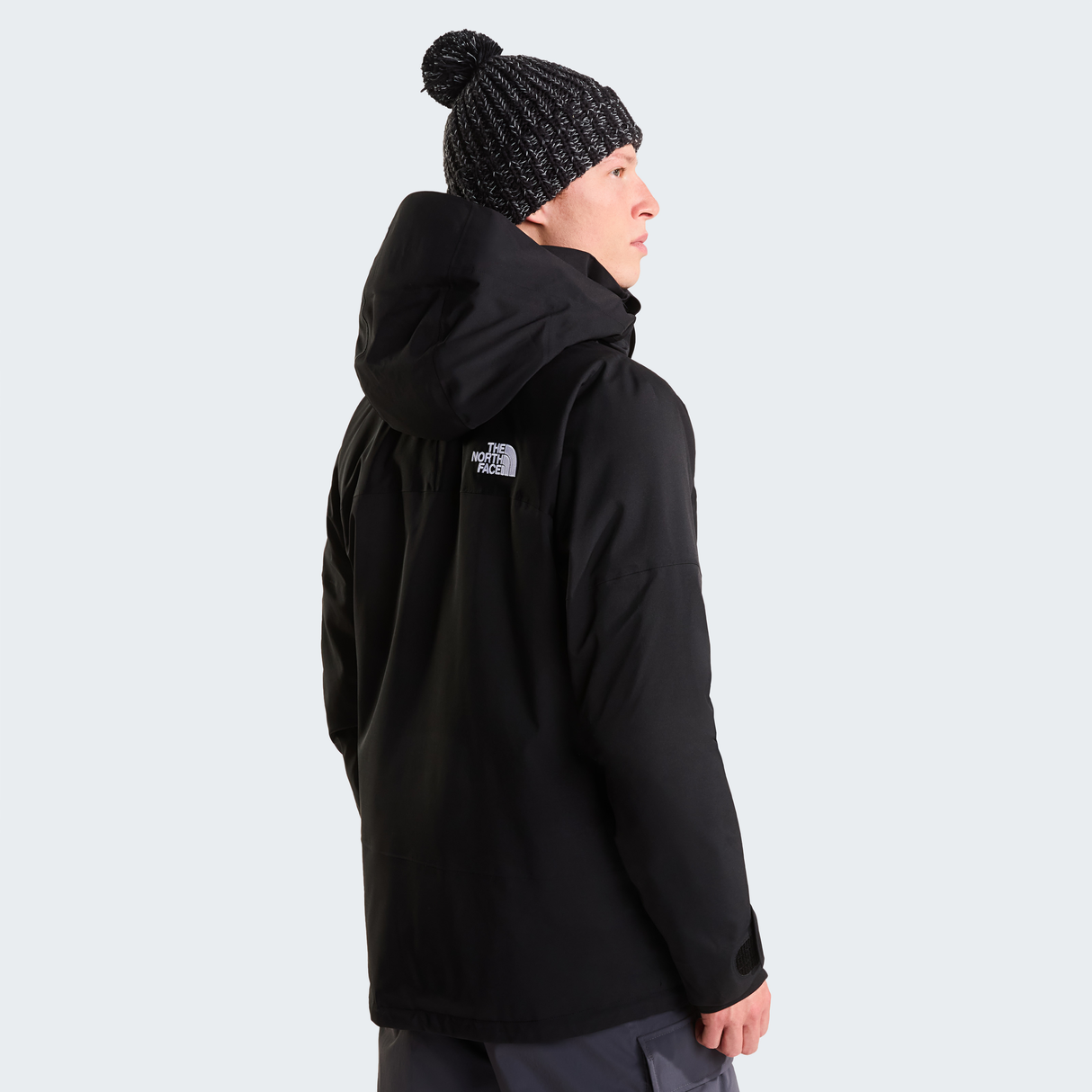tnf_asset:NF0A8H24JK3-ALT3