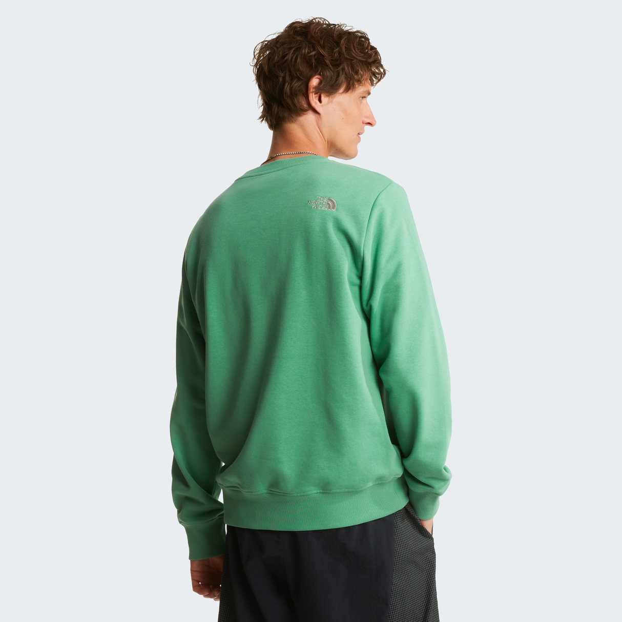 tnf_asset:NF0A8C1CMUA-ALT3