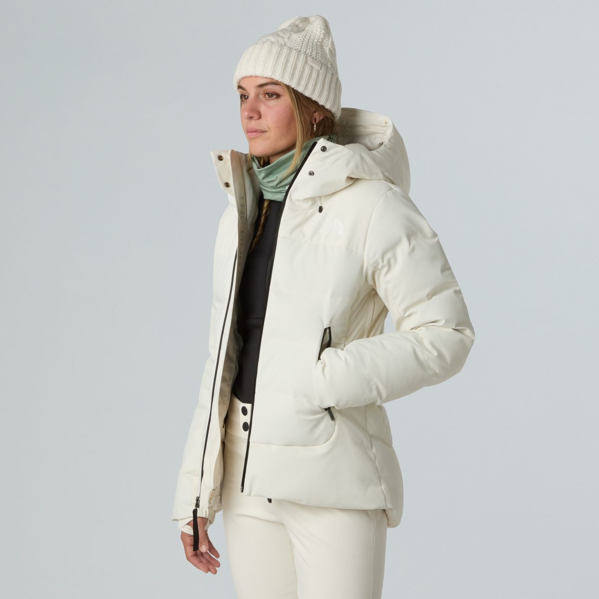 tnf_asset:NF0A87WSGOL-ALT3