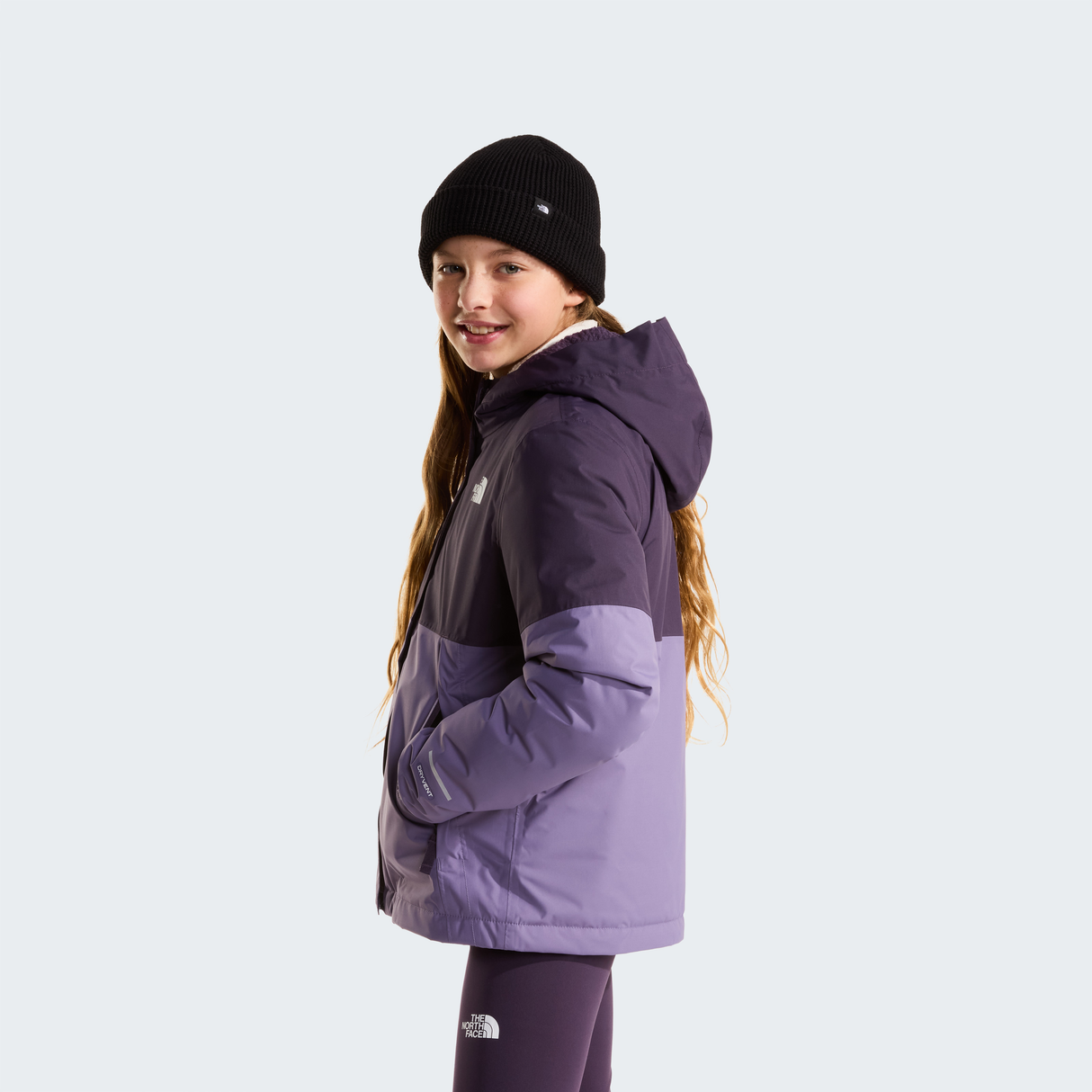 tnf_asset:NF0A873RS1B-ALT2