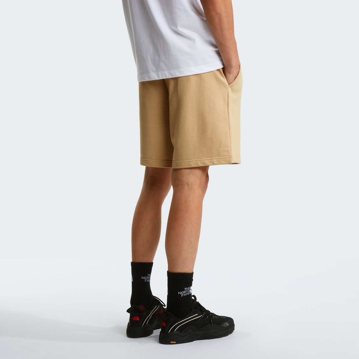 tnf_asset:NF0A8GQ8LK5-ALT3