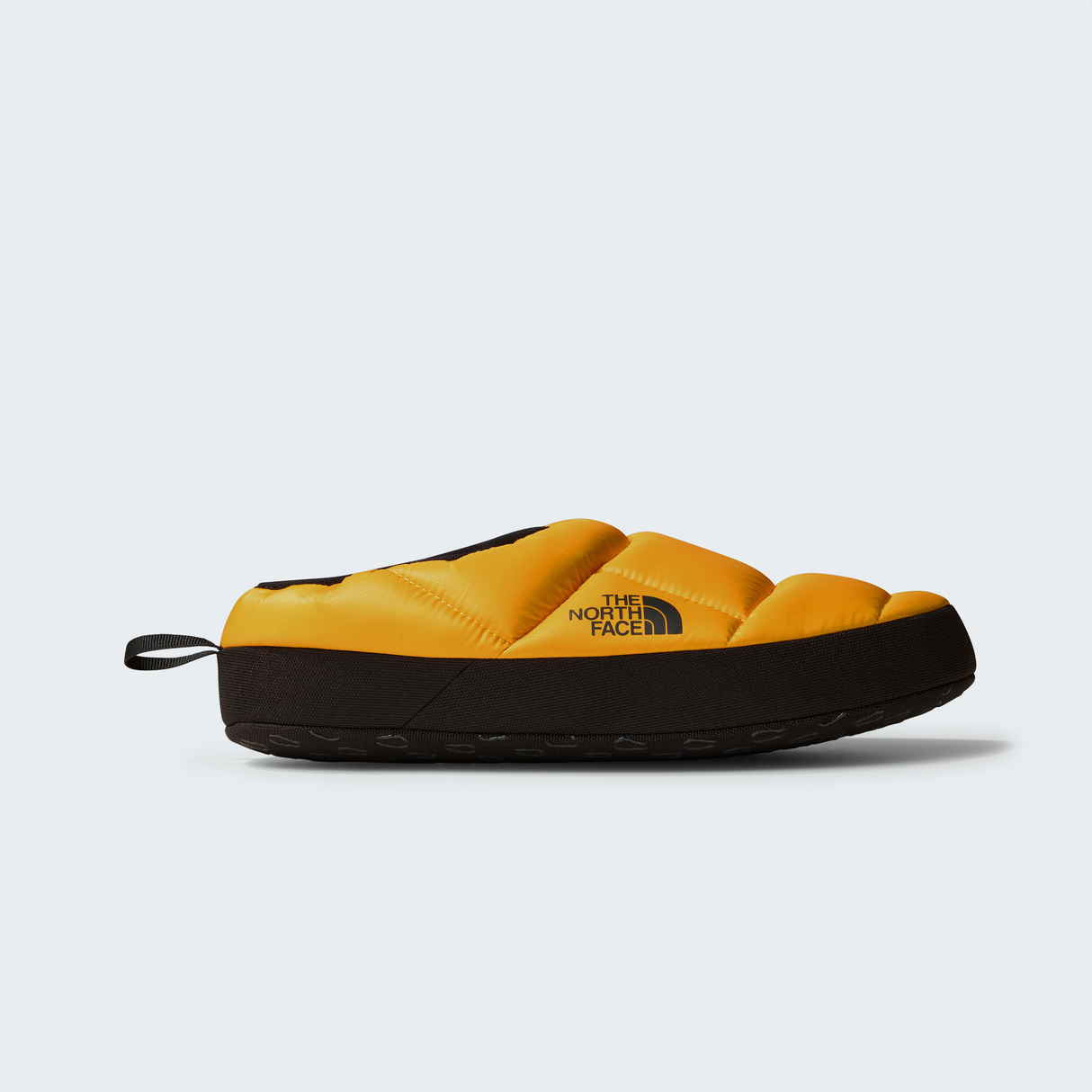 tnf_asset:NF0A8A9DZU3-HERO