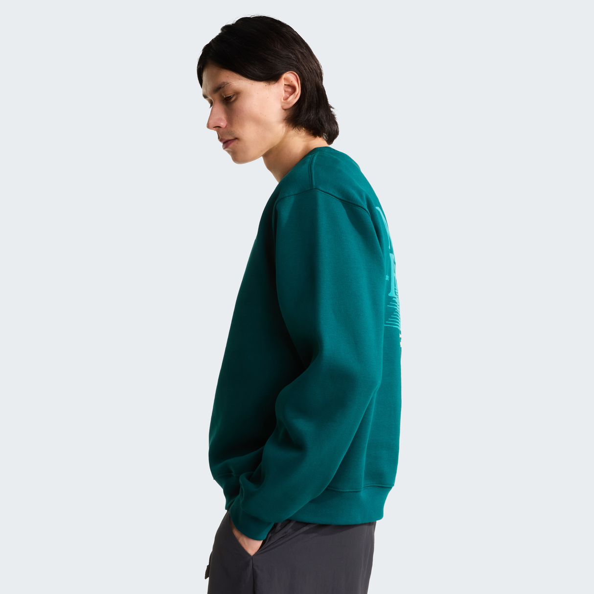 tnf_asset:NF0A8JAFN4J-ALT3