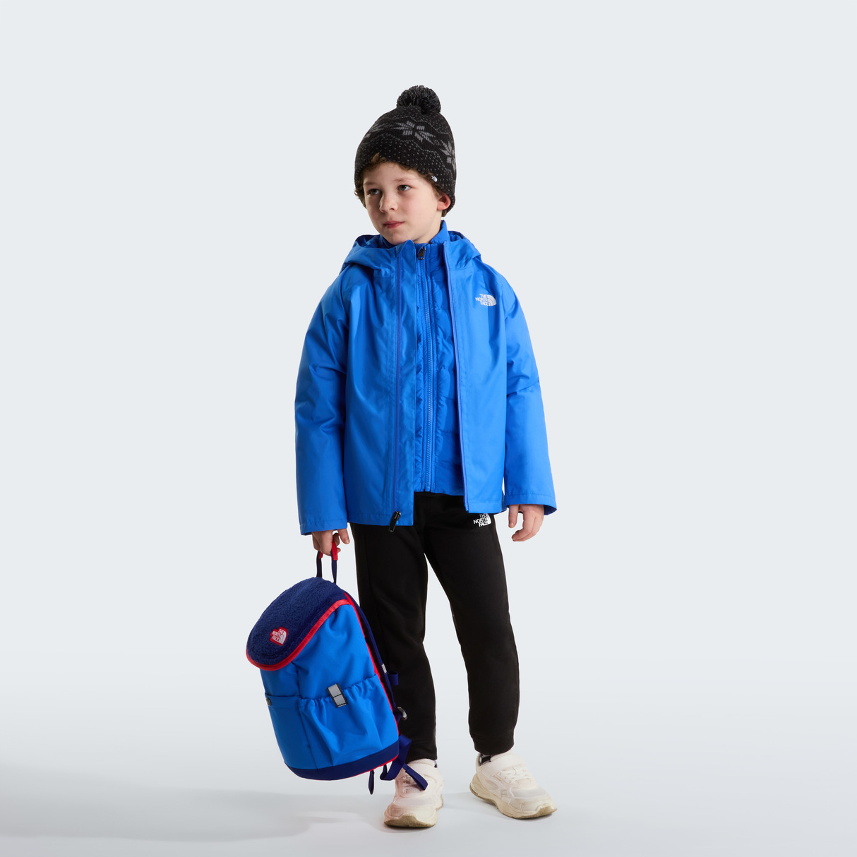 tnf_asset:NF0A8H5ANLQ-ALT1