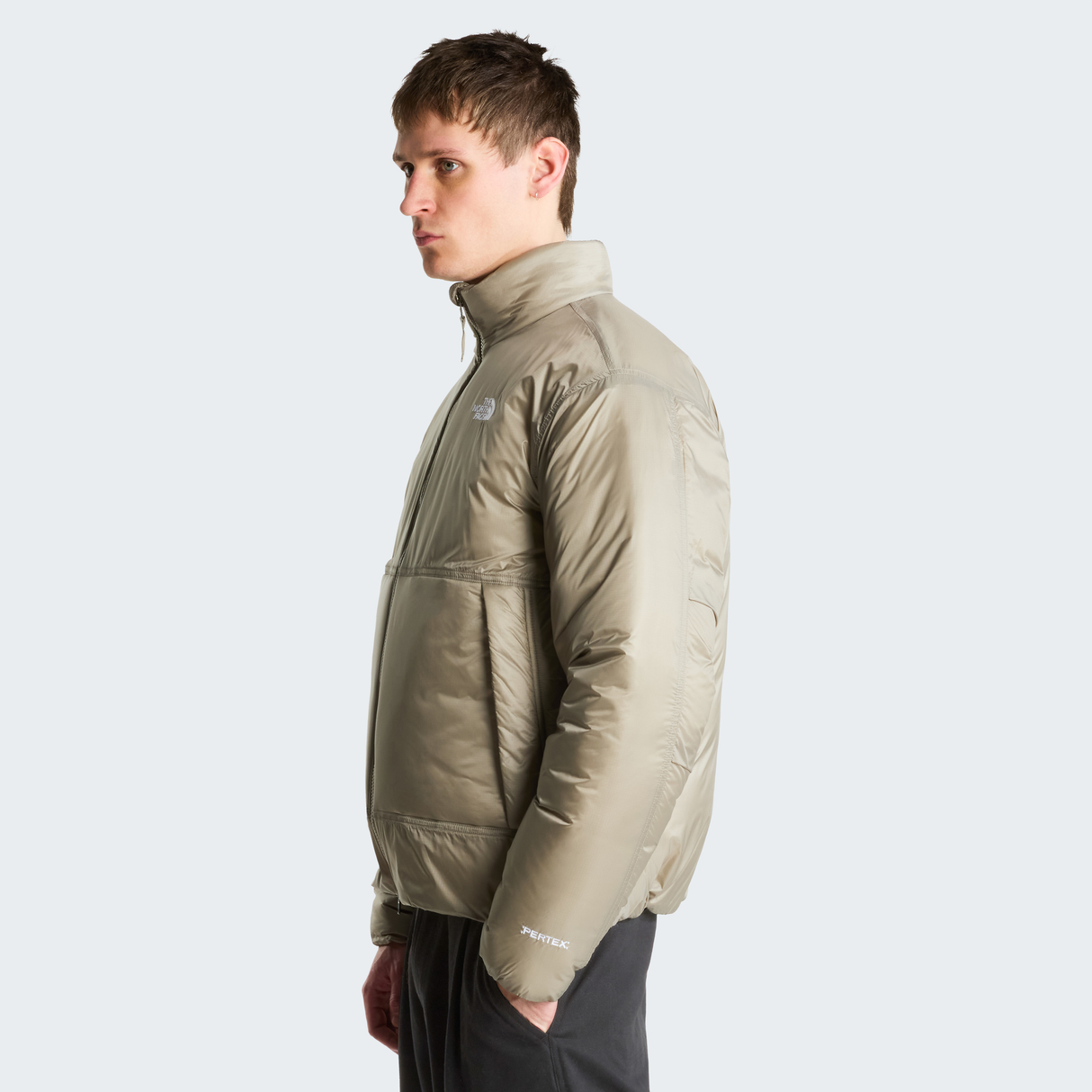 tnf_asset:NF0A8H0P2MB-ALT2
