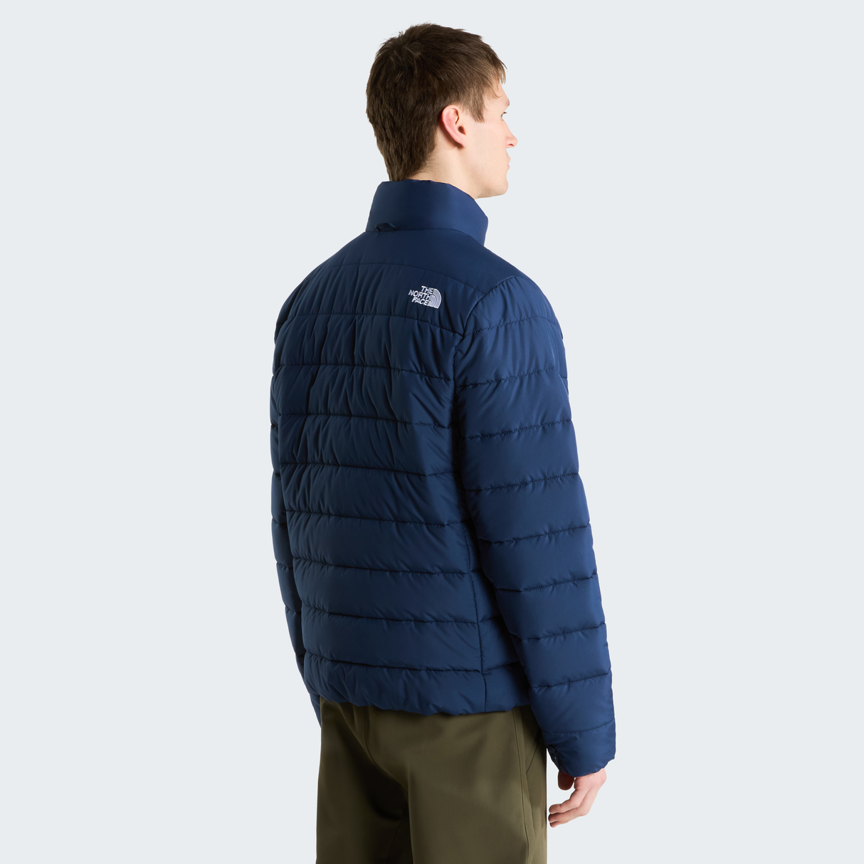tnf_asset:NF0A8H0M8K2-ALT3