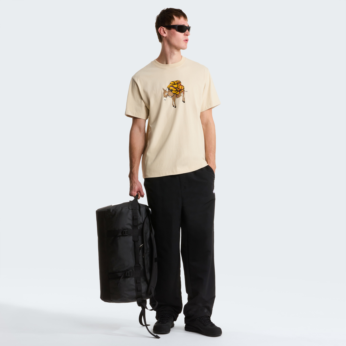 tnf_asset:NF0A8G9FDOM-ALT1
