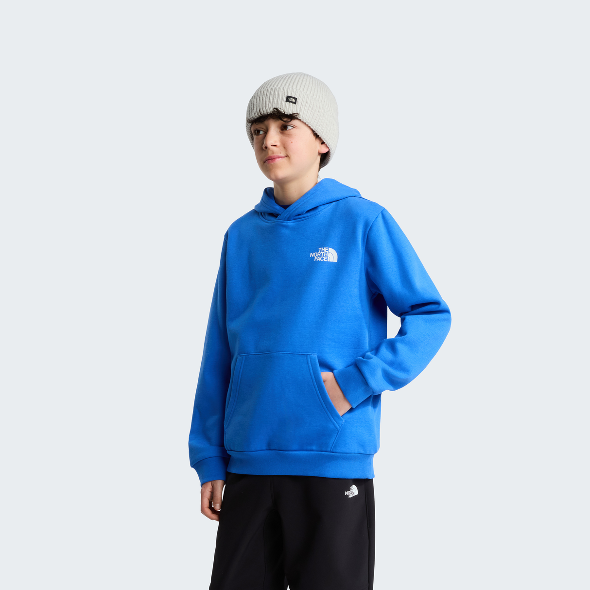 tnf_asset:NF0A8CV5NLQ-ALT2
