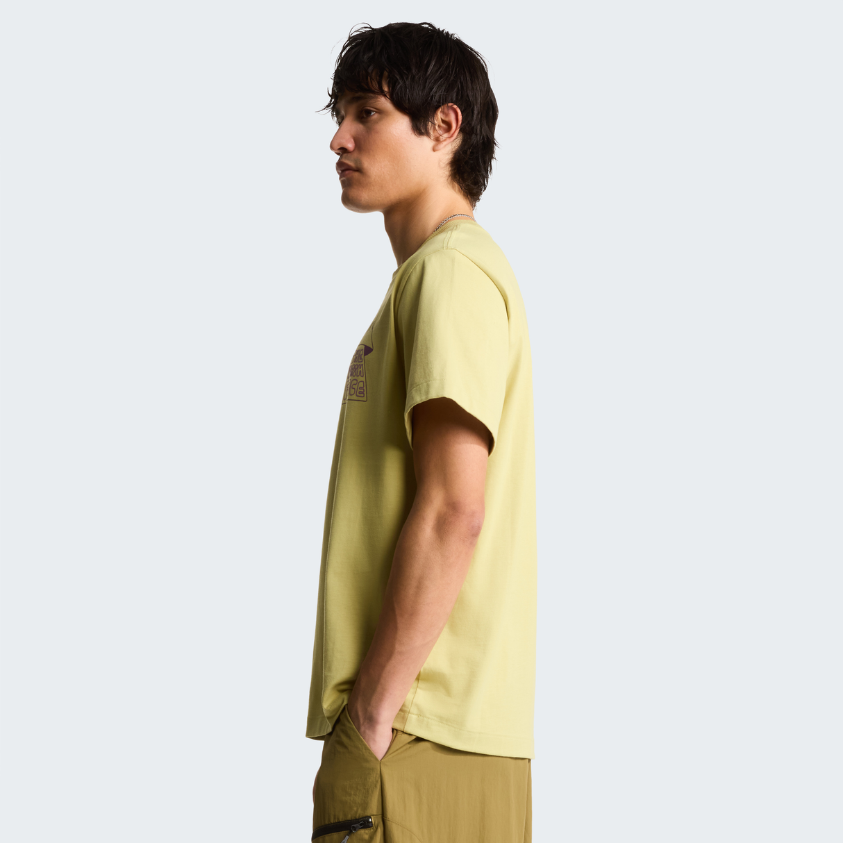 tnf_asset:NF0A8GQXG73-ALT2