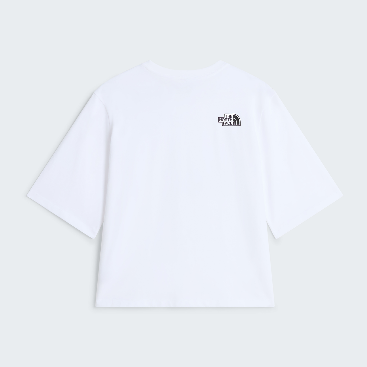 tnf_asset:NF0A8KQFFN4-ALT1