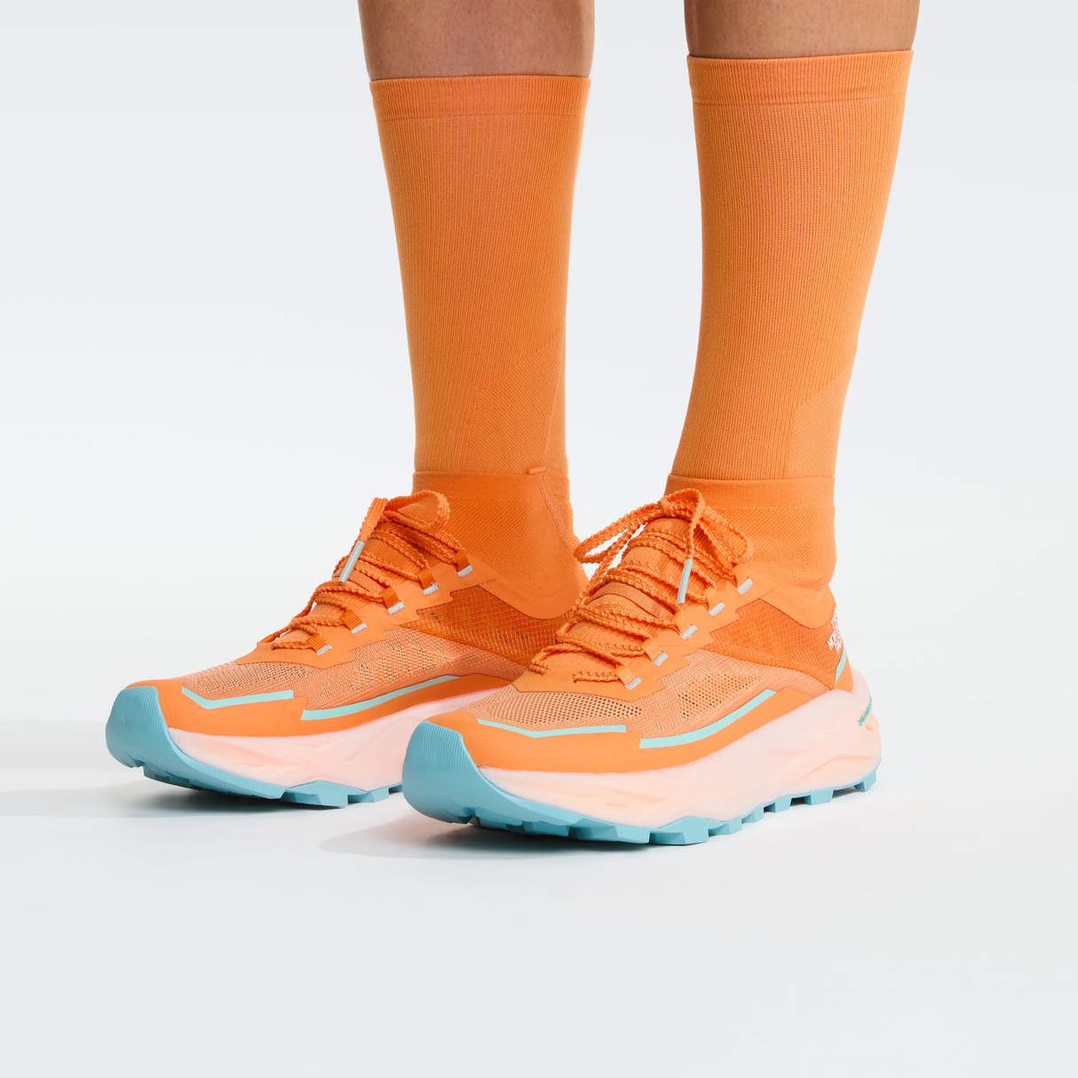 tnf_asset:NF0A8G52TTS-ALT2