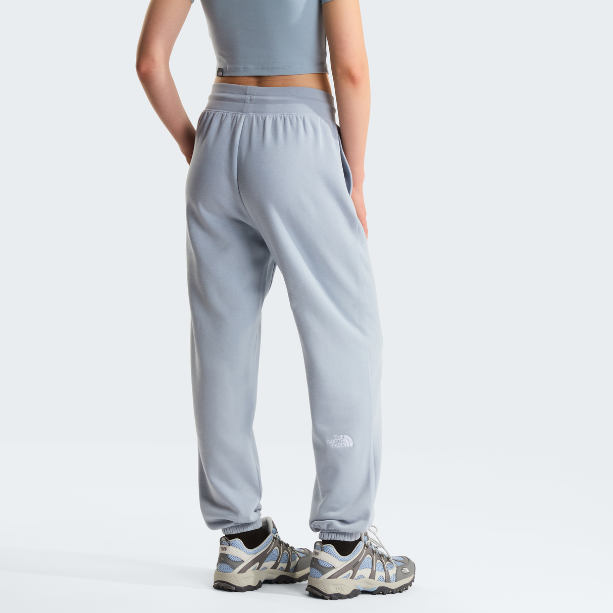tnf_asset:NF0A8C1GFM2-ALT3