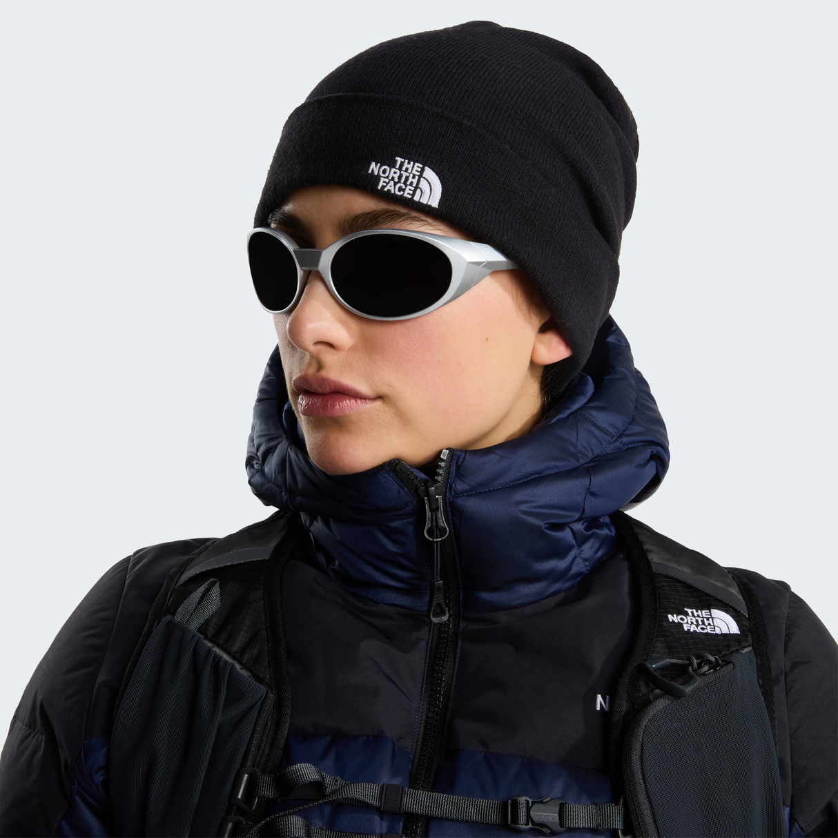 tnf_asset:NF0A5FW1JK3-ALT1
