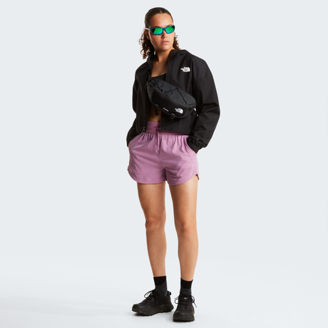 tnf_asset:NF0A8G13JK3-ALT1