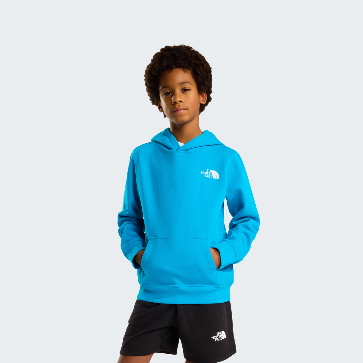 tnf_asset:NF0A89H9D7R-ALT1