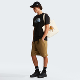 tnf_asset:NF0A8GUXJK3-ALT1