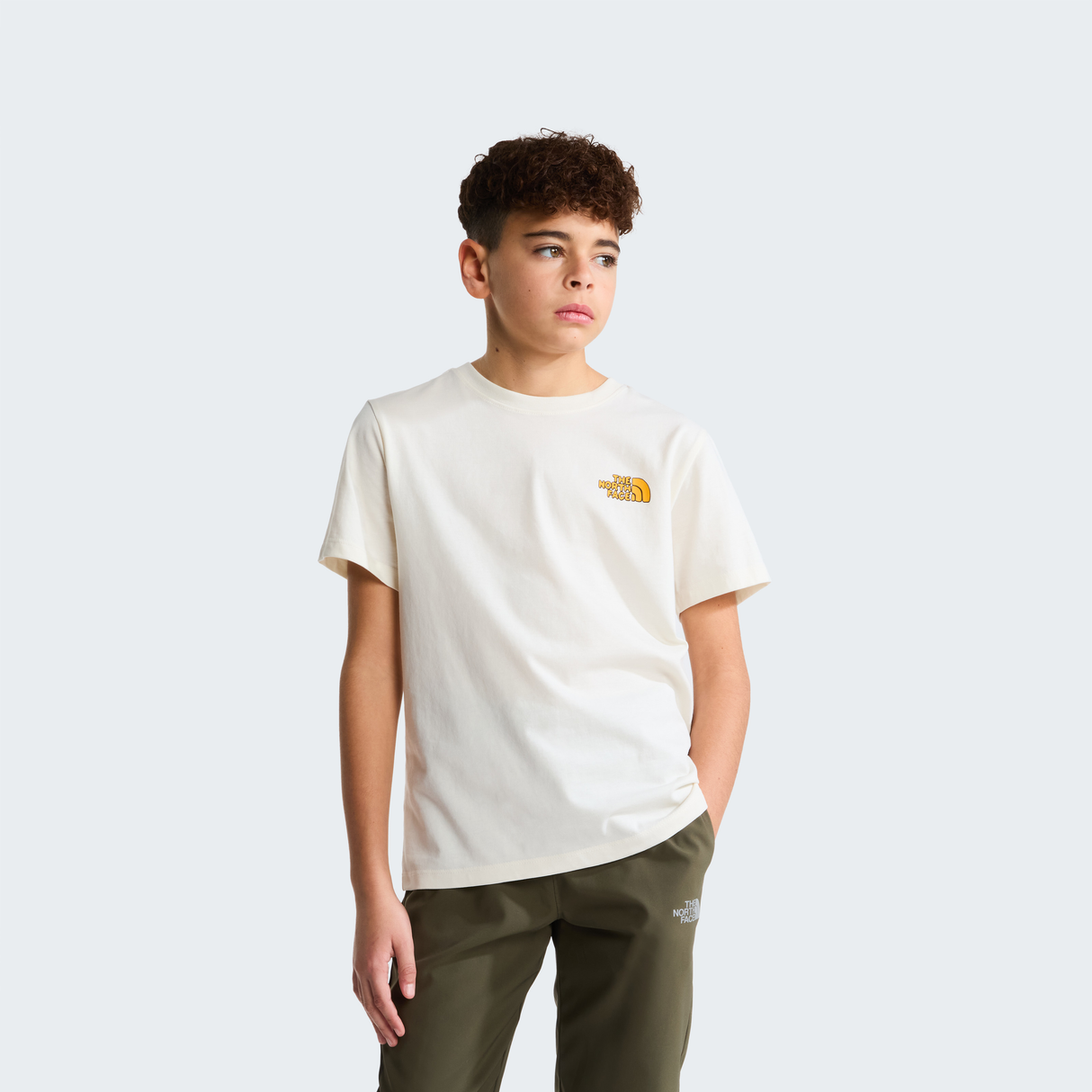 tnf_asset:NF0A8JGUQLI-ALT1