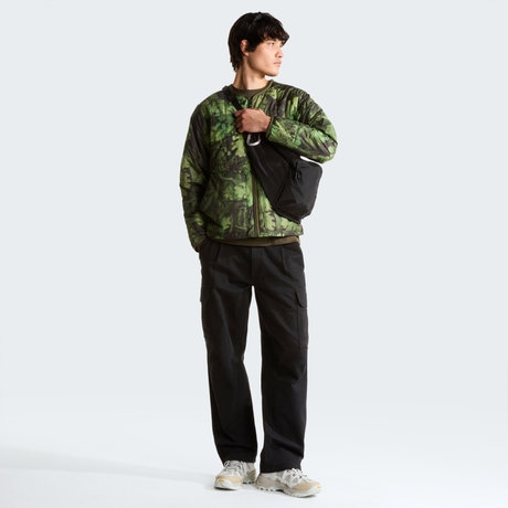 tnf_asset:NF0A8JRJSS1-ALT1