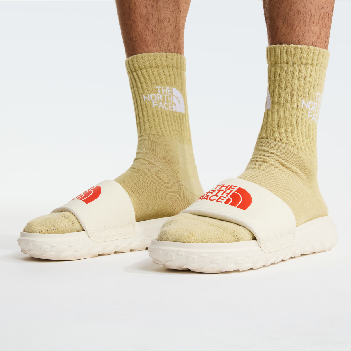 tnf_asset:NF0A8A90L7I-ALT3
