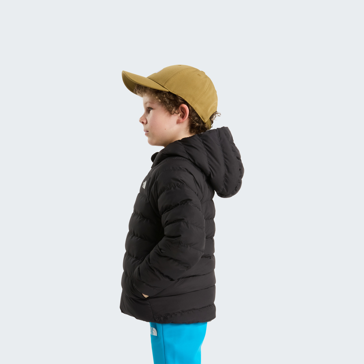 tnf_asset:NF0A88VJWOO-ALT3