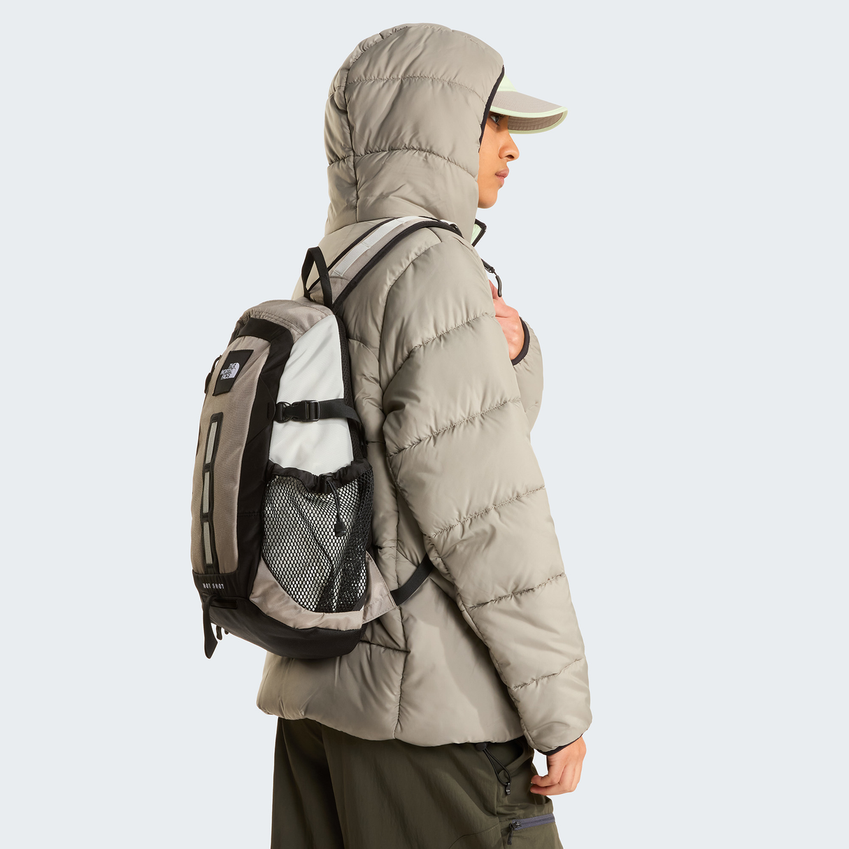 tnf_asset:NF0A8JCESM4-ALT1