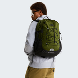 tnf_asset:NF00CF9CDIW-ALT1