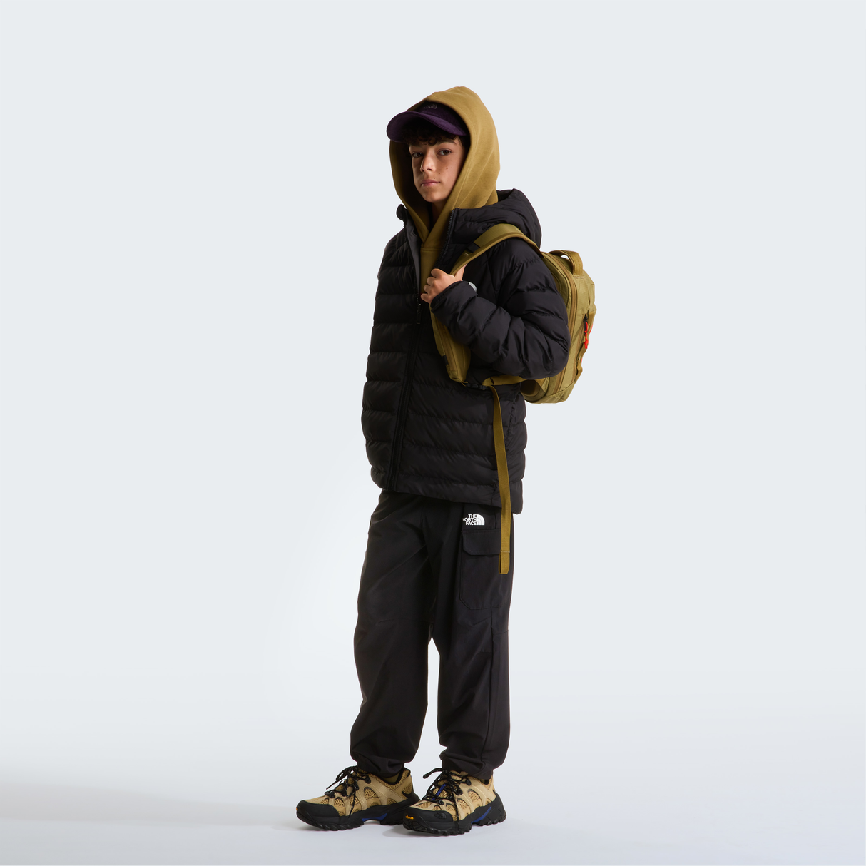tnf_asset:NF0A88TWWOO-ALT1