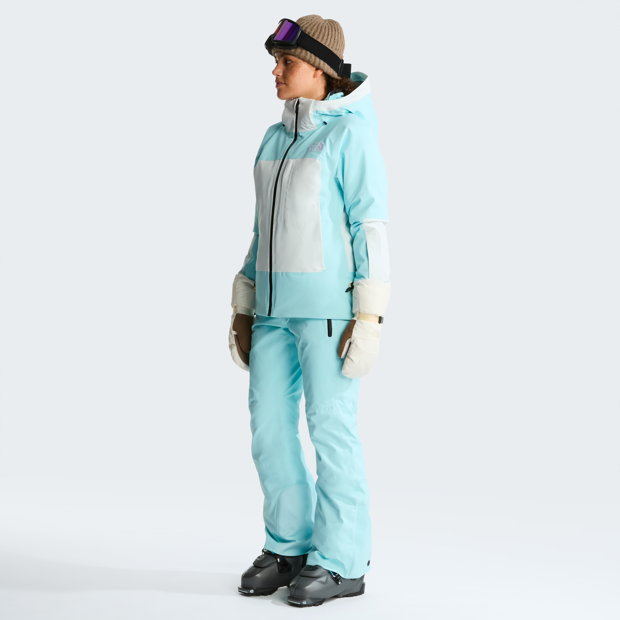 tnf_asset:NF0A8H2ZS8B-ALT1