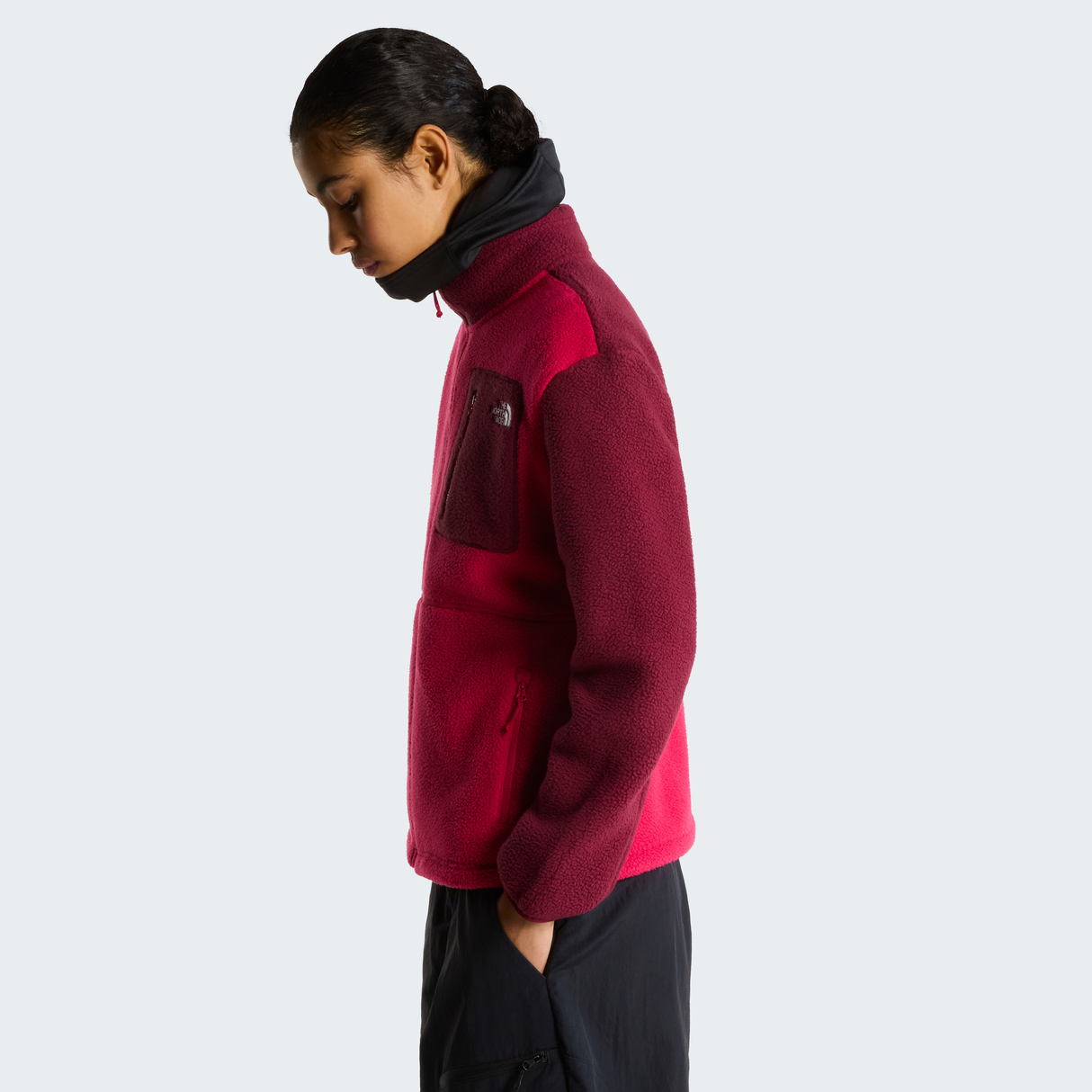 tnf_asset:NF0A8E88S69-ALT2