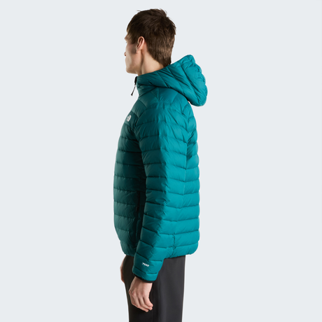 tnf_asset:NF0A8D1TN4J-ALT2