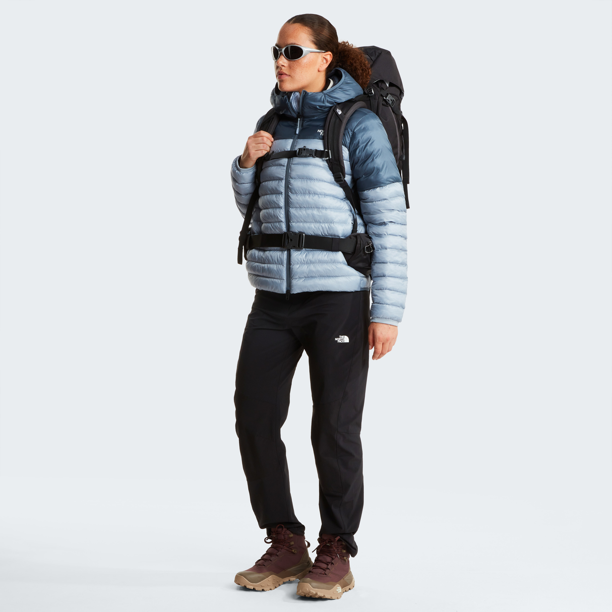 tnf_asset:NF0A8DEDGKP-ALT1