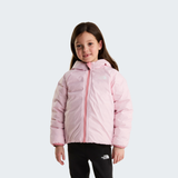 tnf_asset:NF0A88VJNO9-ALT1