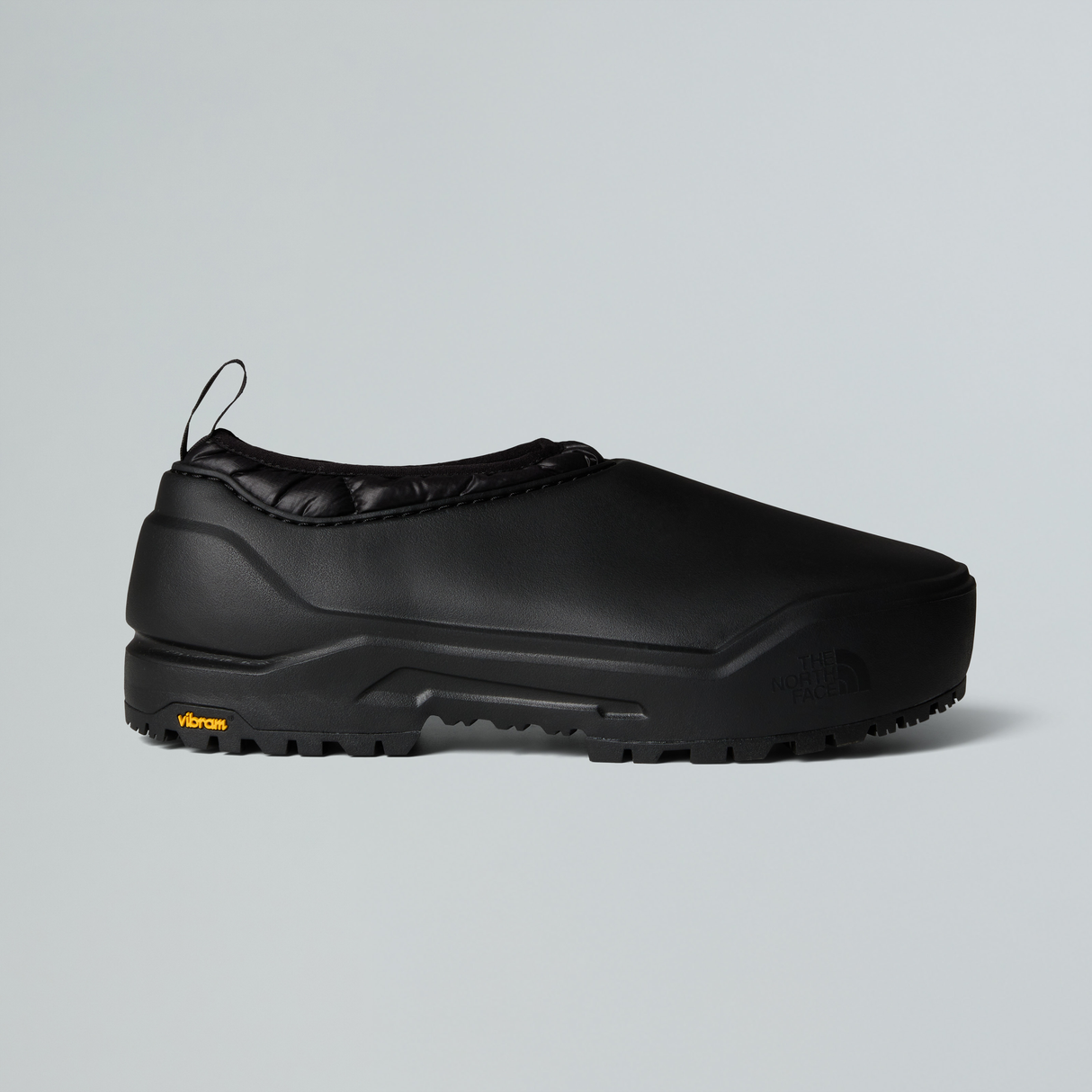 tnf_asset:NF0A8D9GKX7-ALT1