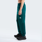 tnf_asset:NF0A8J8DN4J-ALT2