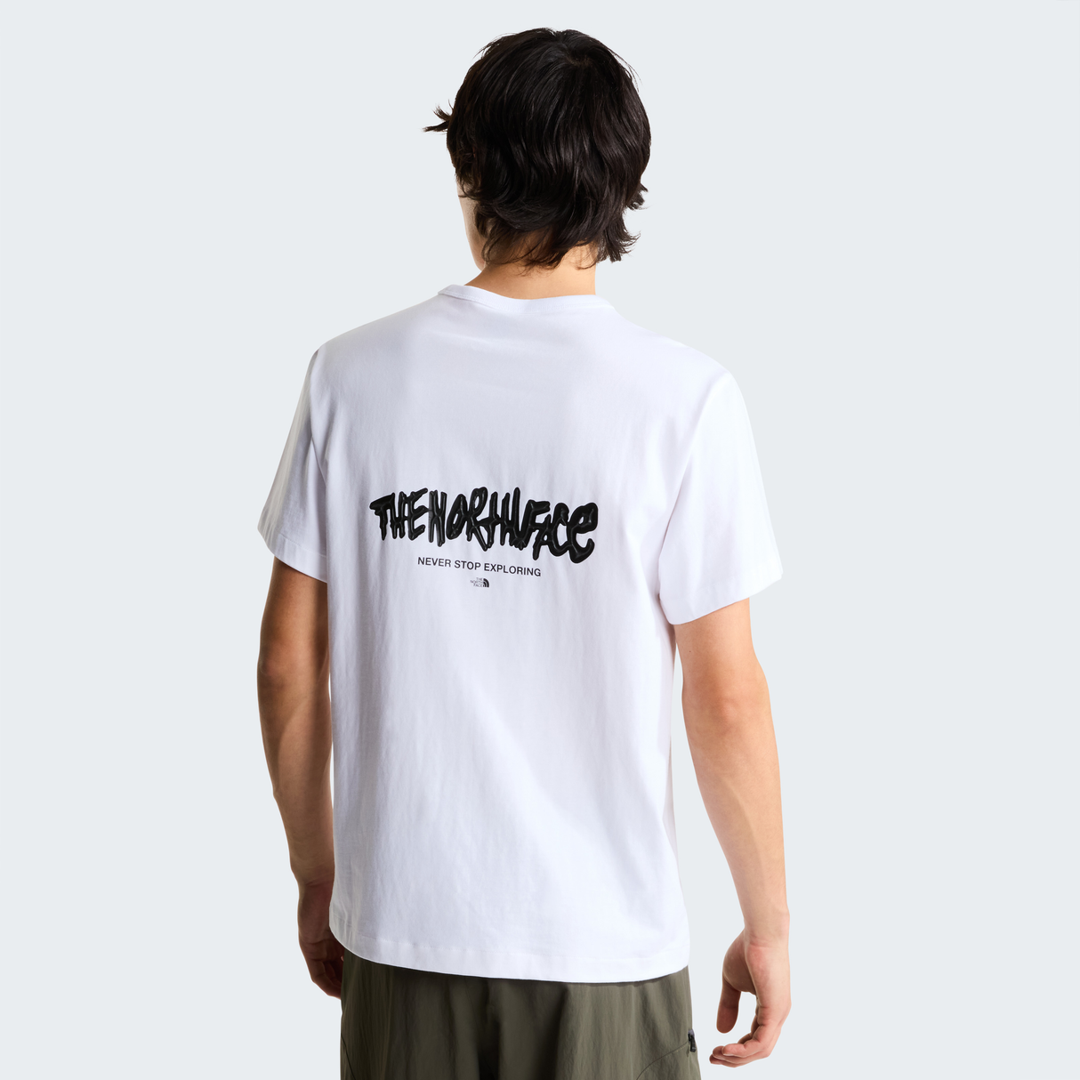 tnf_asset:NF0A8JA6FN4-ALT2