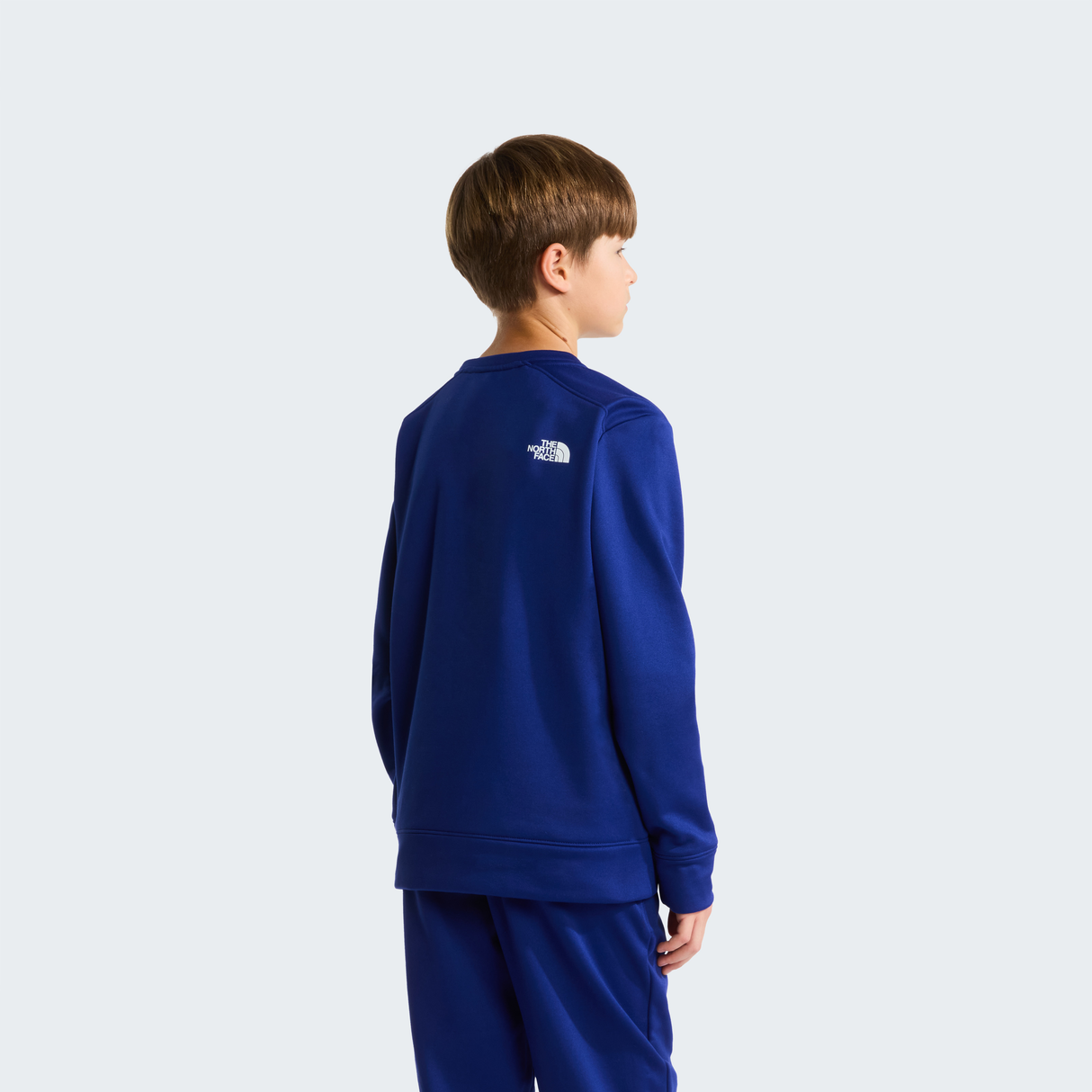 tnf_asset:NF0A8JC8NLV-ALT3