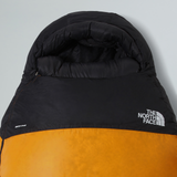 tnf_asset:NF0A8CNH1U5-ALT1