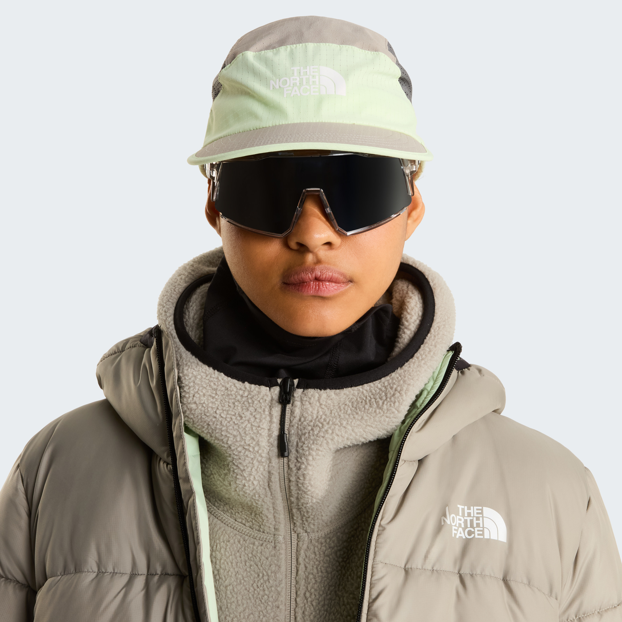 tnf_asset:NF0A876JVM8-ALT1