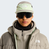tnf_asset:NF0A876JVM8-ALT1