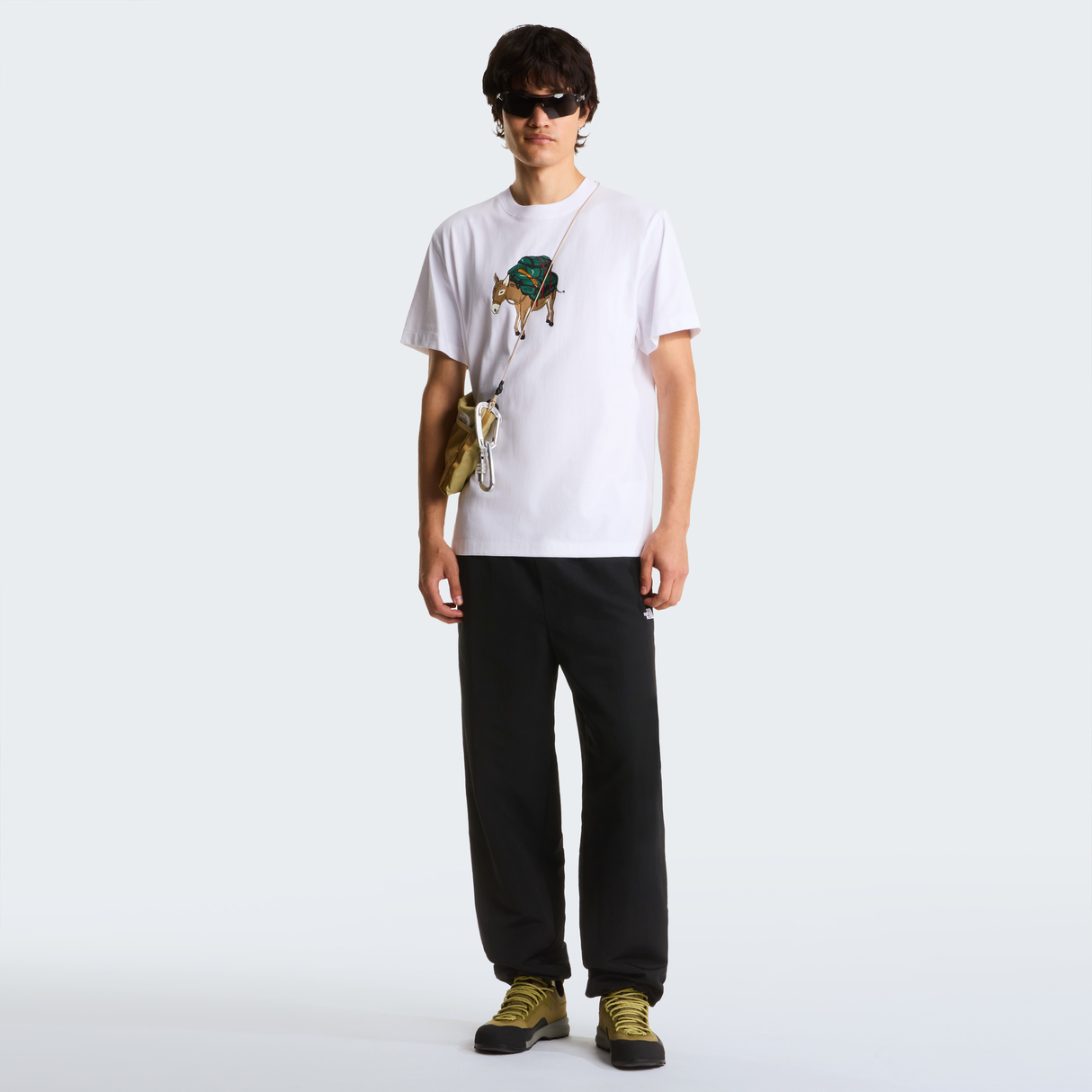 tnf_asset:NF0A8G9FFN4-ALT1