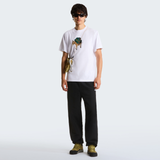 tnf_asset:NF0A8G9FFN4-ALT1