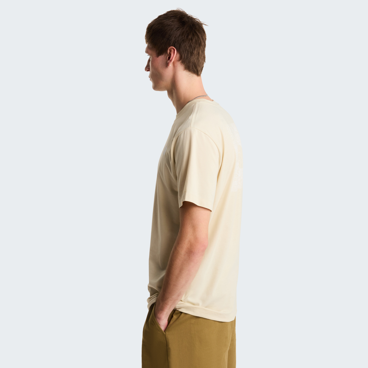 tnf_asset:NF0A8GV2DOM-ALT3