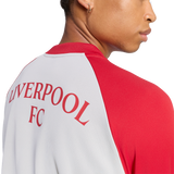 ADIDAS - Liverpool Fc 26/27 Pre Match Warm Top - Uomo - Grey - image 6