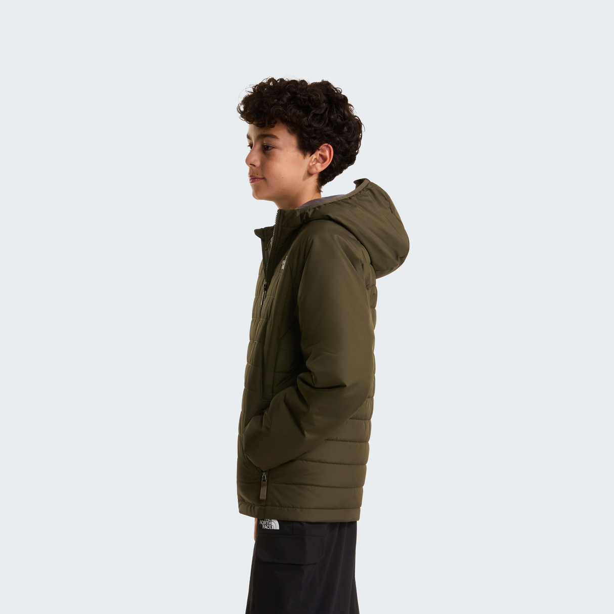 tnf_asset:NF0A89HR21L-ALT2