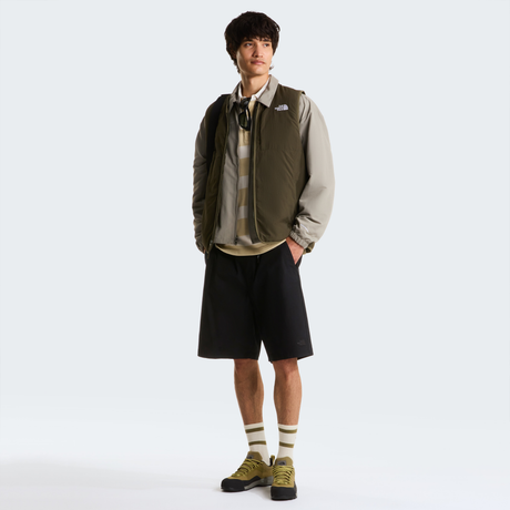 tnf_asset:NF0A8G0AJK3-ALT1