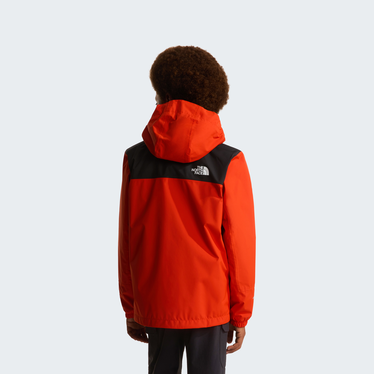 tnf_asset:NF0A8A48G6L-ALT3