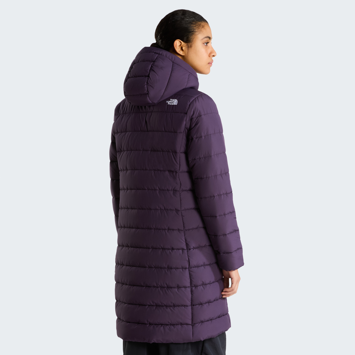 tnf_asset:NF0A8H1AG5O-ALT3